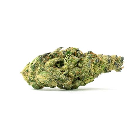 This strain produces a euphoric high with mentally uplifting effects. . Gmo rootbeer strain allbud